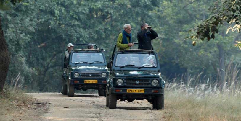 flora in tadoba